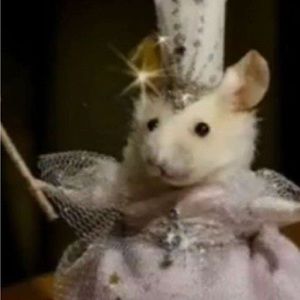 Meet your Posher, Grae